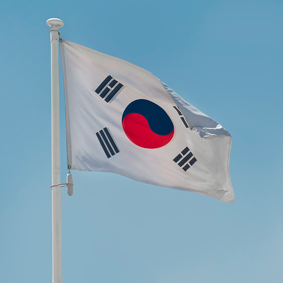 South Korea Market Review, January 2025: autocall sales down YoY, DLBs gain momentum